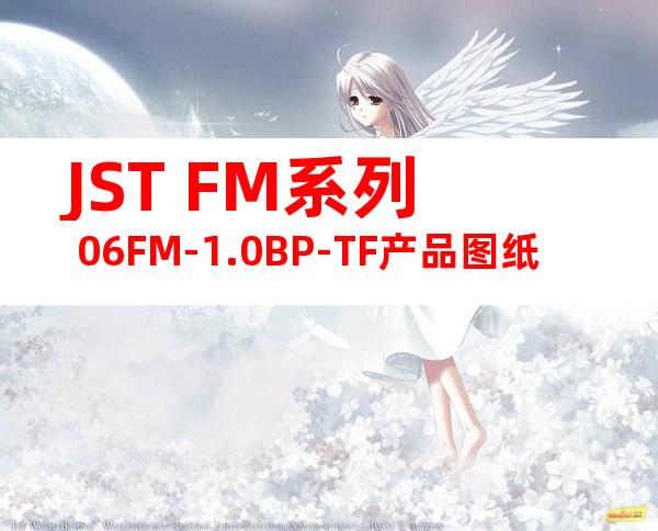 JST FM系列 06FM-1.0BP-TF产品图纸